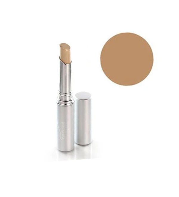 Perfect Skin Perfecting Concealer - Dark